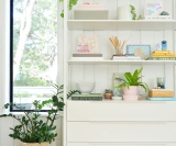 Best Air Purifying Plants | Young House Love